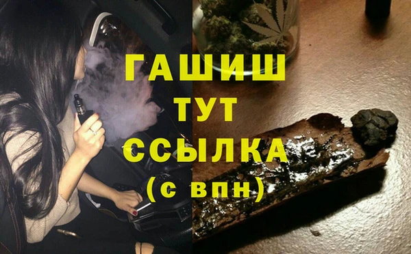 сатива Аша