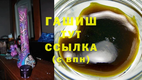 сатива Аша