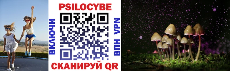 Псилоцибиновые грибы Cubensis  даркнет Telegram  Красновишерск 